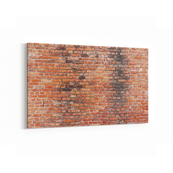 olla.market Kanvas Tablo