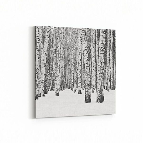 olla.market Kanvas Tablo