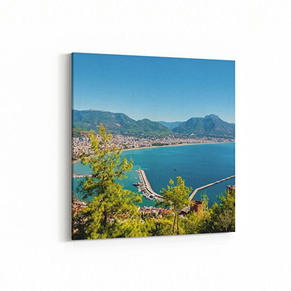 olla.market Kanvas Tablo