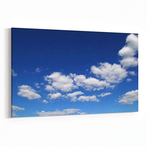 olla.market Kanvas Tablo