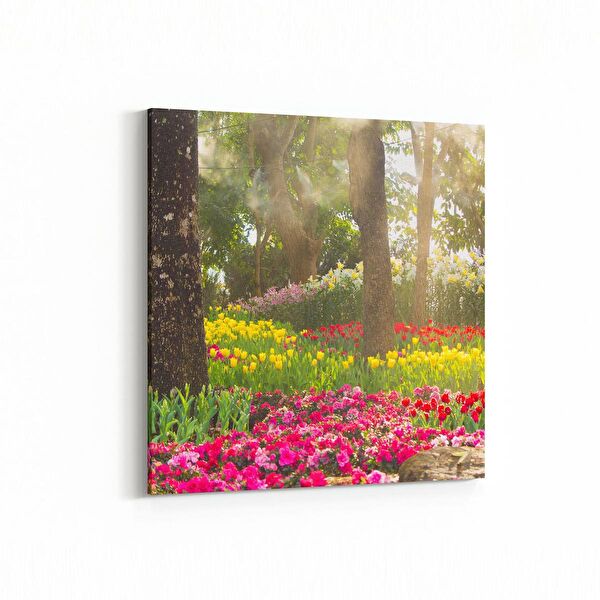 olla.market Kanvas Tablo