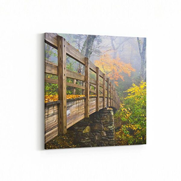 olla.market Kanvas Tablo