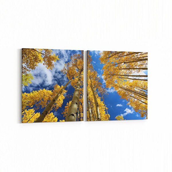 olla.market Kanvas Tablo