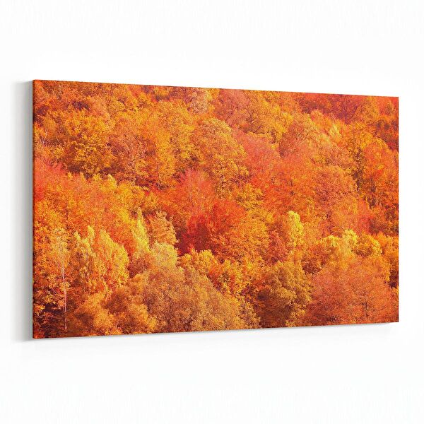 olla.market Kanvas Tablo