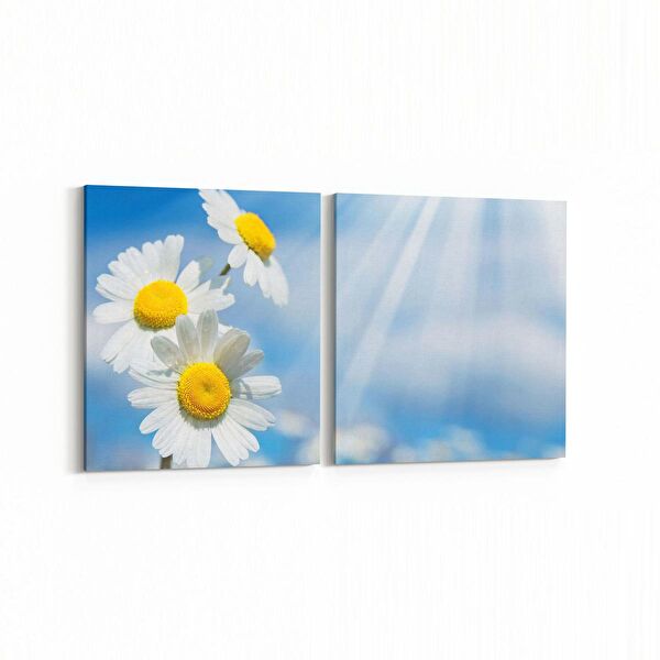 olla.market Kanvas Tablo