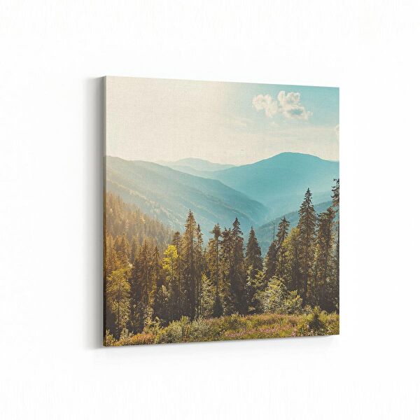 olla.market Kanvas Tablo