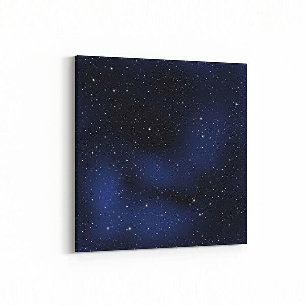 olla.market Kanvas Tablo