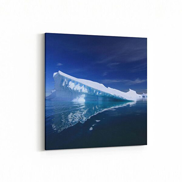 olla.market Kanvas Tablo