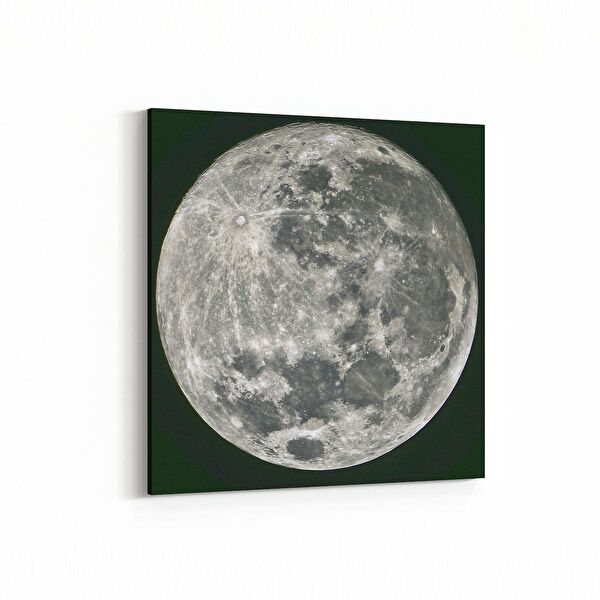 olla.market Kanvas Tablo