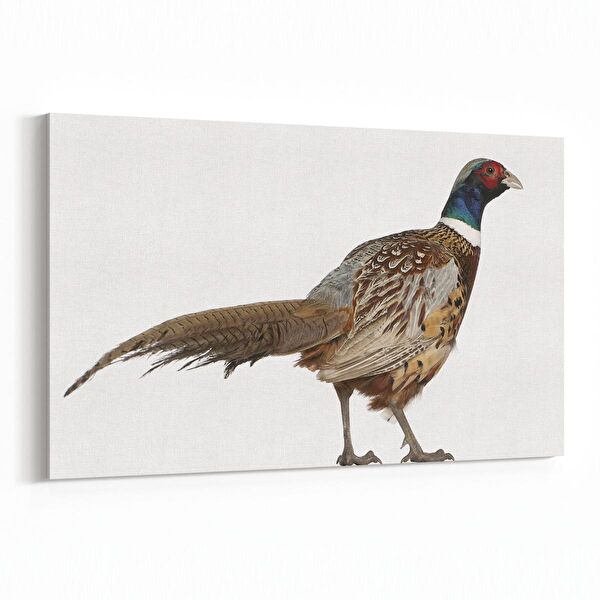 olla.market Kanvas Tablo