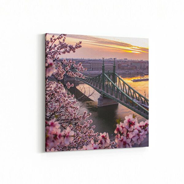 olla.market Kanvas Tablo