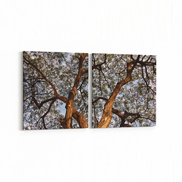 olla.market Kanvas Tablo