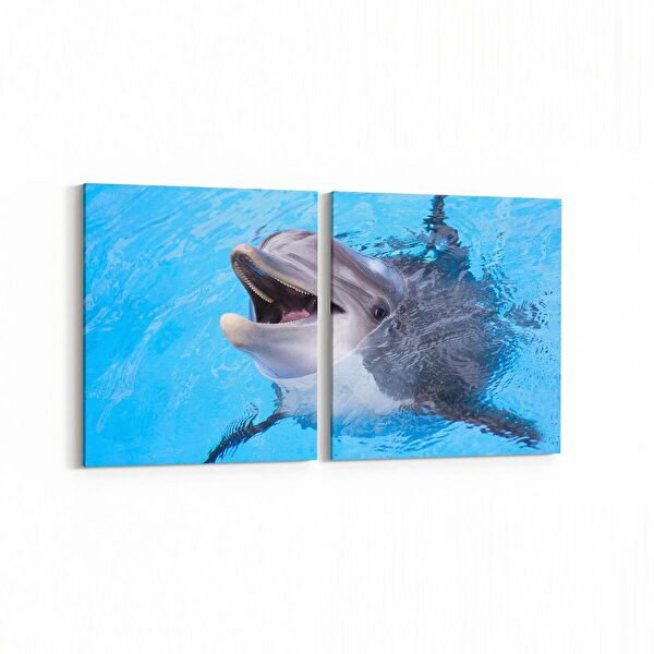 olla.market Kanvas Tablo