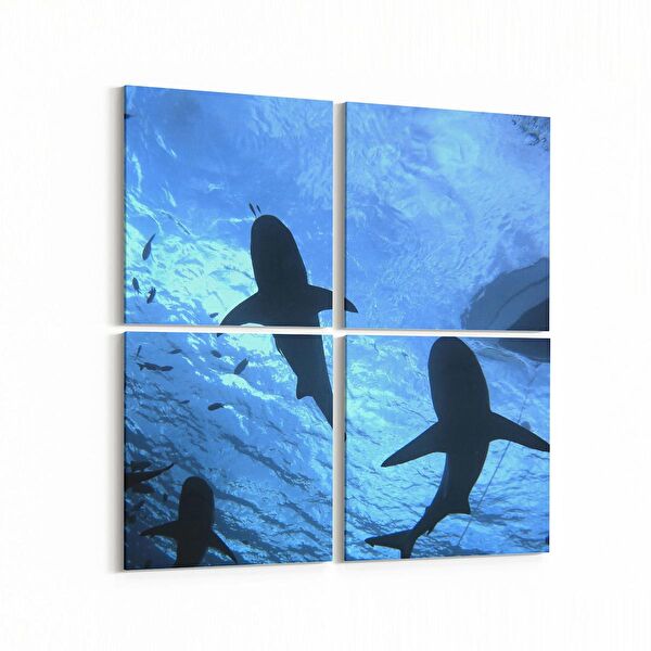 olla.market Kanvas Tablo