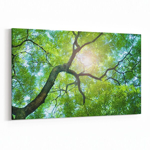 olla.market Kanvas Tablo