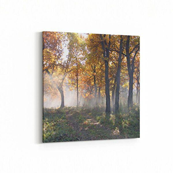 olla.market Kanvas Tablo