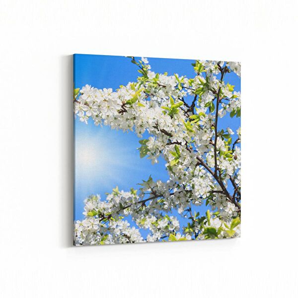 olla.market Kanvas Tablo