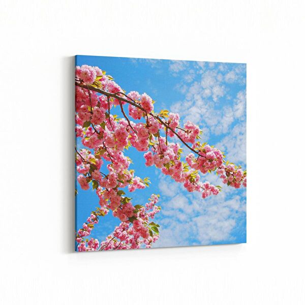 olla.market Kanvas Tablo