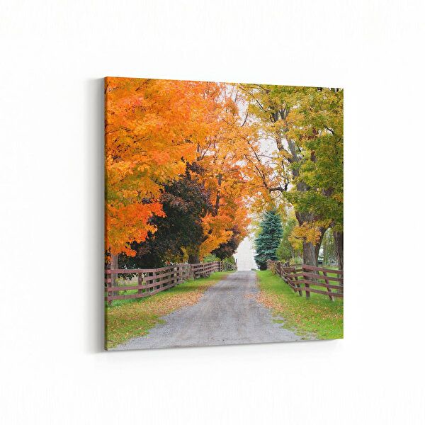 olla.market Kanvas Tablo