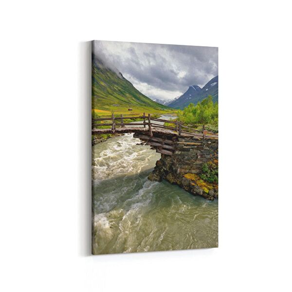 olla.market Kanvas Tablo