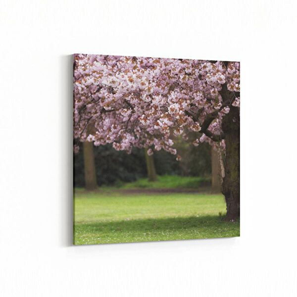 olla.market Kanvas Tablo