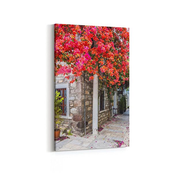 olla.market Kanvas Tablo