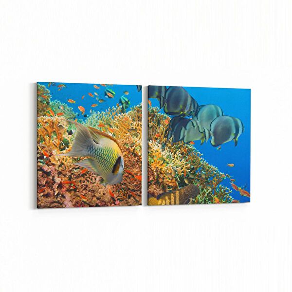 olla.market Kanvas Tablo