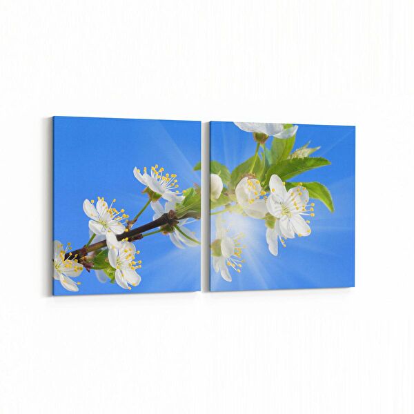 olla.market Kanvas Tablo