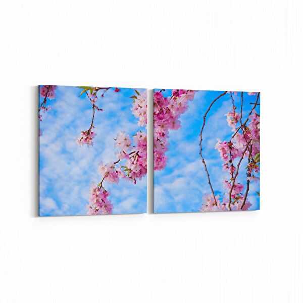 olla.market Kanvas Tablo