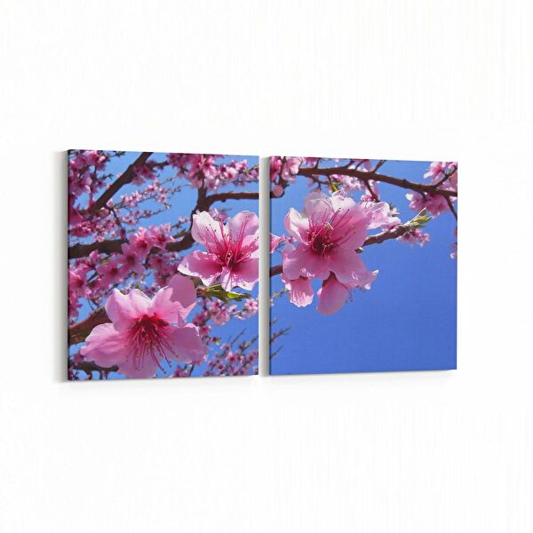 olla.market Kanvas Tablo