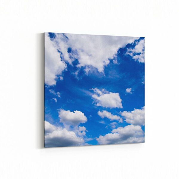 olla.market Kanvas Tablo