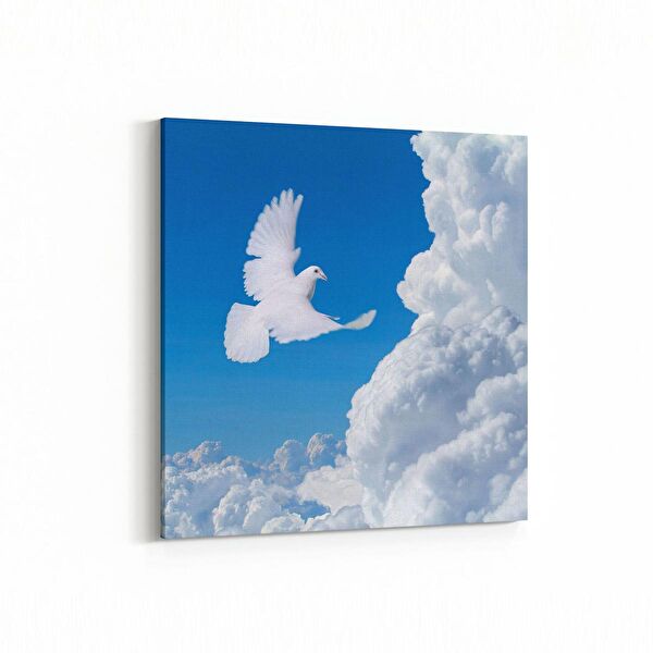 olla.market Kanvas Tablo