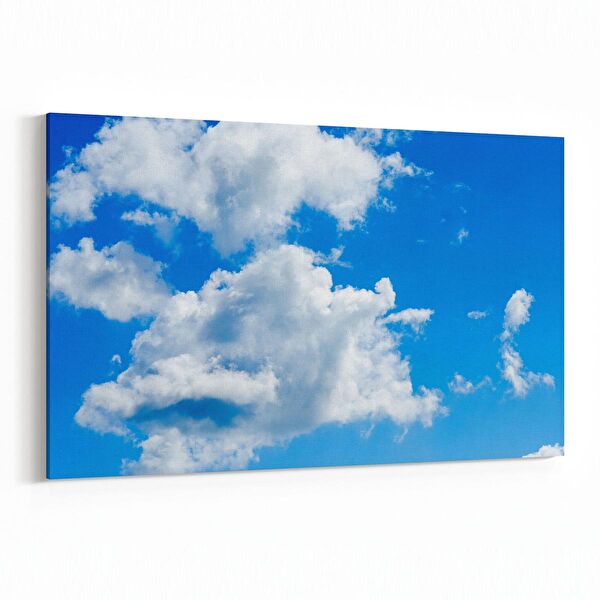 olla.market Kanvas Tablo