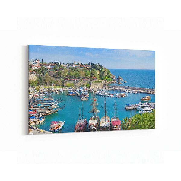 olla.market Kanvas Tablo