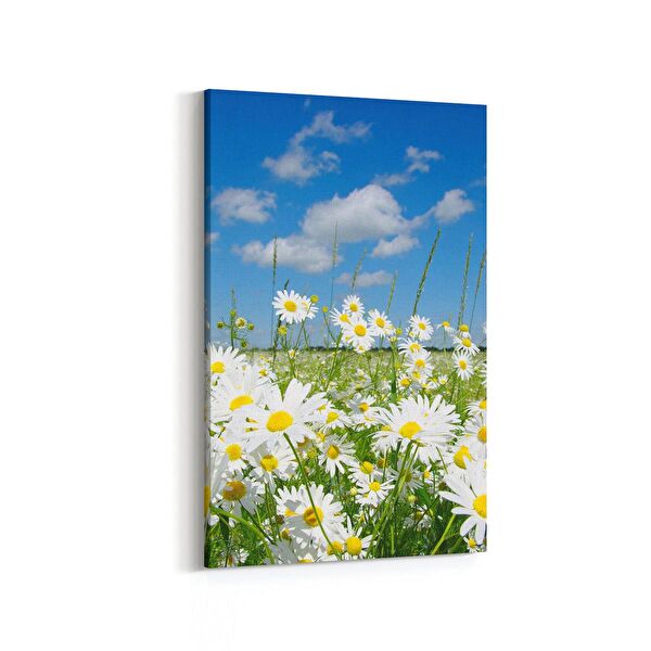 olla.market Kanvas Tablo