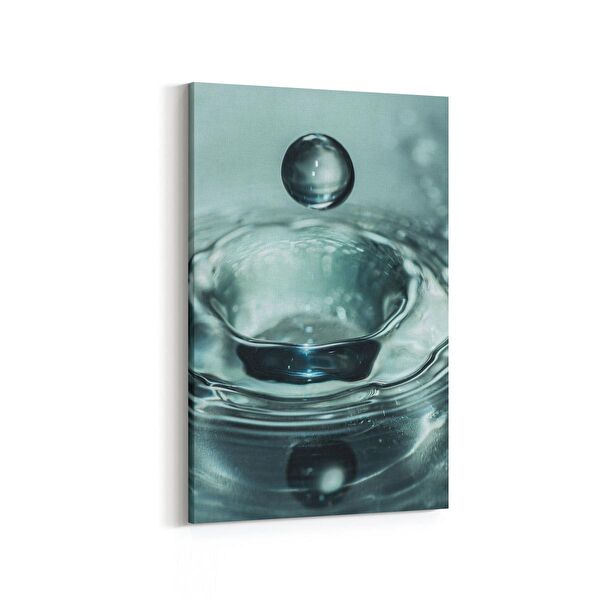 olla.market Kanvas Tablo