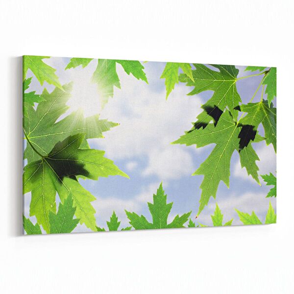 olla.market Kanvas Tablo