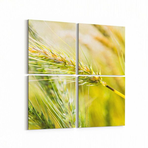 olla.market Kanvas Tablo