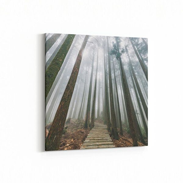 olla.market Kanvas Tablo