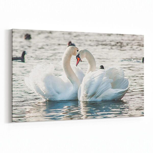 olla.market Kanvas Tablo