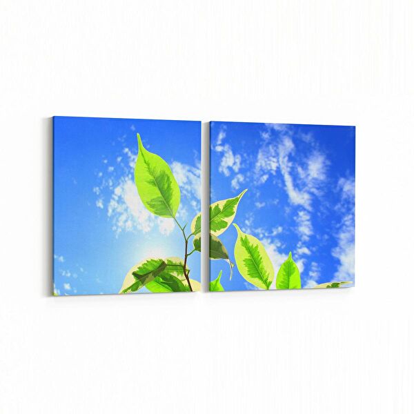 olla.market Kanvas Tablo