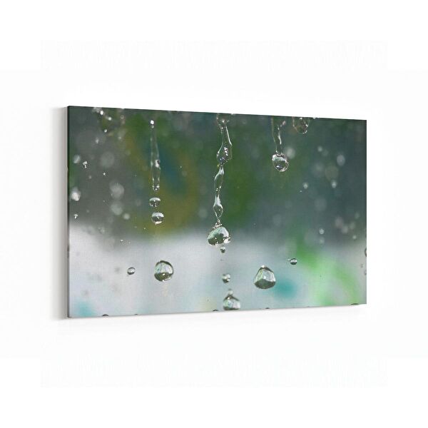 olla.market Kanvas Tablo