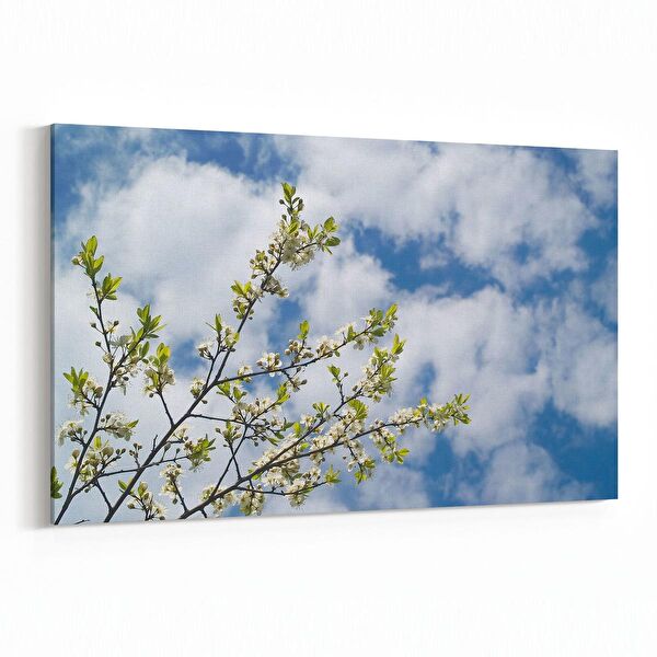 olla.market Kanvas Tablo