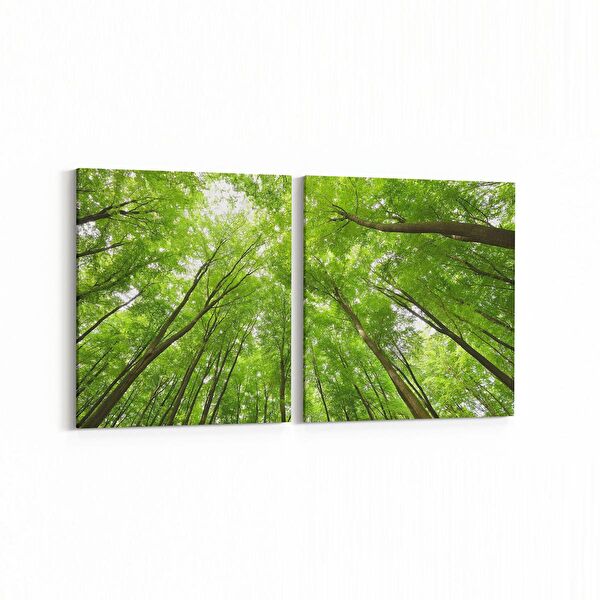 olla.market Kanvas Tablo