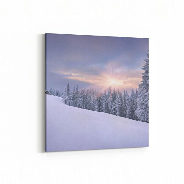 olla.market Kanvas Tablo