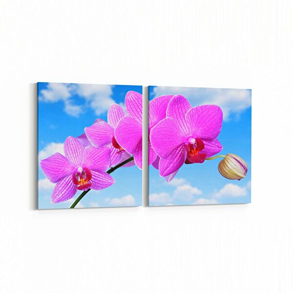 olla.market Kanvas Tablo