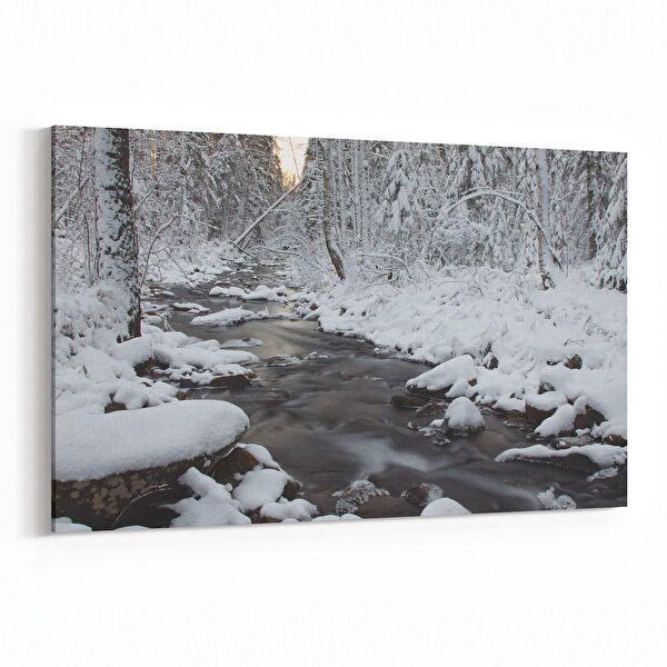 olla.market Kanvas Tablo