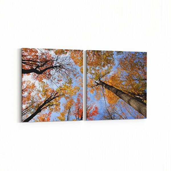 olla.market Kanvas Tablo