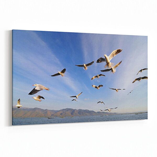 olla.market Kanvas Tablo