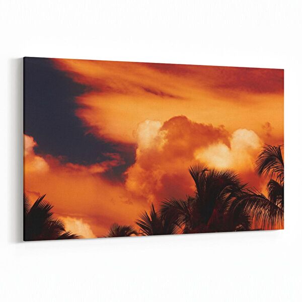 olla.market Kanvas Tablo